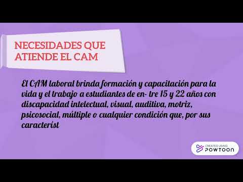Servicio de taxi para traslados al Centro de Atención Múltiple Nº 2
